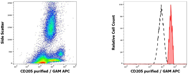 抗人CD205純化抗體