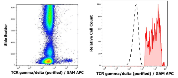 抗人TCR γ/δ純化抗體