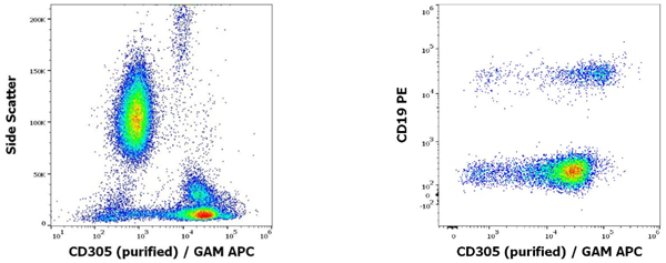 抗人CD305純化抗體