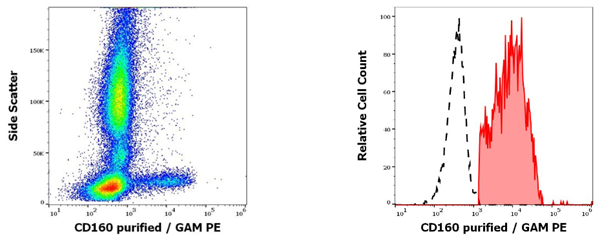抗人CD160純化抗體
