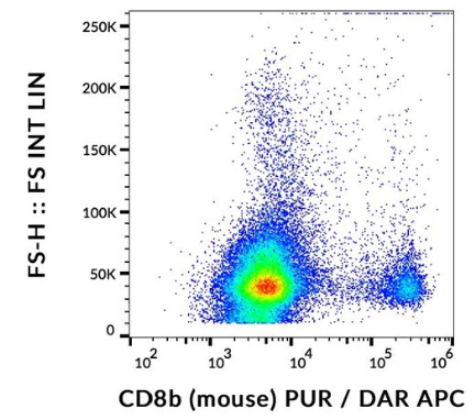 抗小鼠CD8b純化抗體