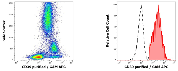 抗人CD39純化抗體