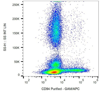 抗人CD94純化抗體