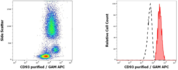 抗人CD93純化抗體