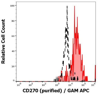 抗人CD270純化抗體