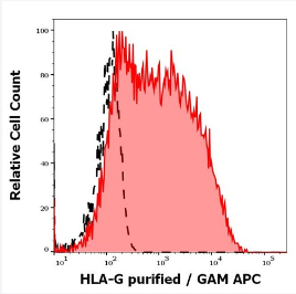 抗HLA-G純化低內(nèi)毒素抗體