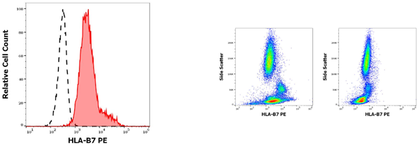 抗HLA-B7 PE熒光標記抗體