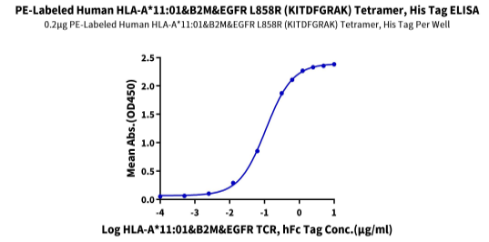 PE標(biāo)記人類HLA-A*11:01&B2M&EGFR L858R(KITDFGRAK)四聚體蛋白