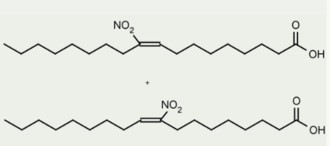 9(10)-硝基油酸