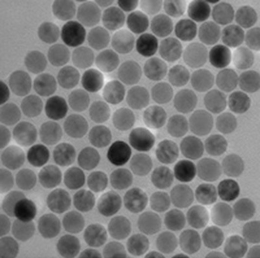 Biosensis PrecisionMRX-1.png