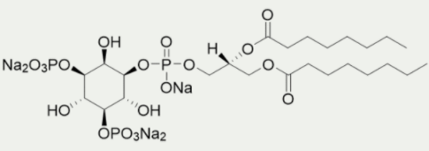 [干冰]磷脂酰肌醇(3,5)二磷酸二辛酯(PI(3,5)P2 diC8)