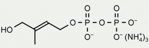 [干冰]1-羥基-2-甲基-2-丁烯-4-基-4-二磷酸(HDMAPP)