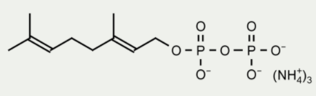 香葉基二磷酸（GPP）