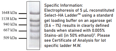 選擇性透明質酸高梯度標準品Select-HA HiLadder