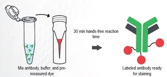 CF Dye Mix-n-Stain.png