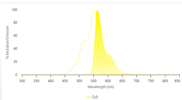 Alexa Fluor 488標(biāo)記親和純化山羊抗兔IgG(H+L)二抗