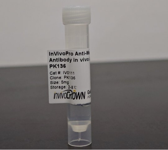 InVivoPro抗小鼠NK1.1（CD161）體內(nèi)抗體，PK136克隆