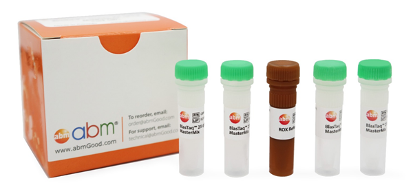 BlasTaq 2X qPCR MasterMix.png