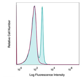 C57BL/6小鼠脾細胞用抗小鼠CD4克隆GK1.5