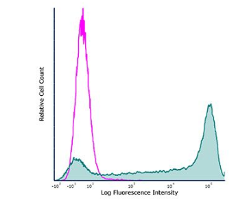 InVivoPlus抗小鼠Ly6G/Ly6C(Gr-1)