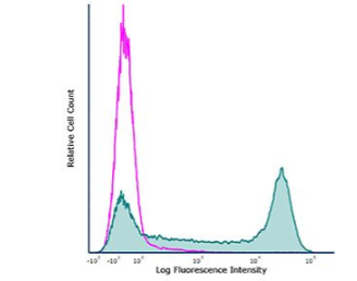 InVivoPlus抗小鼠Ly6G
