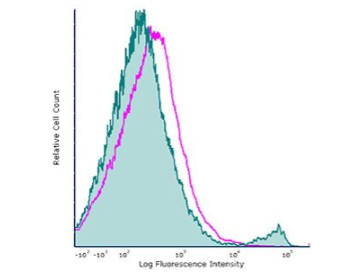 InVivoPlus抗小鼠CD8α