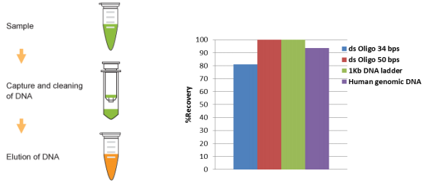 EpiQuik DNA清潔和濃縮試劑盒