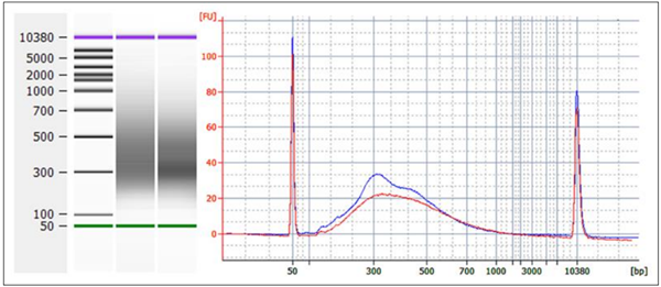 EpiNext RRBS文庫快速試劑盒