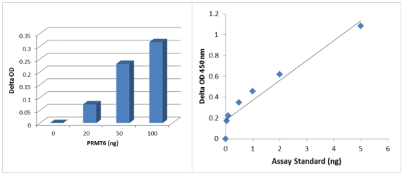 表基因酶I型PRMT甲基轉(zhuǎn)移酶活性/抑制測定試劑盒（比色法）