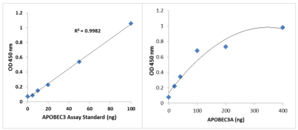 Epigenase APOBEC 3胞苷脫氨酶活性/抑制測(cè)定試劑盒