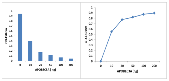 表觀基因酶APOBEC 3A活性/抑制測(cè)定試劑盒