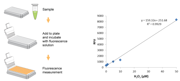 EpiQuik原位和非原位過氧化氫（H2O2）檢測試劑盒