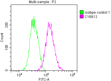 NR3C1重組單克隆抗體