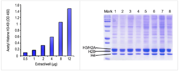 EpiQuik總組蛋白提取試劑盒