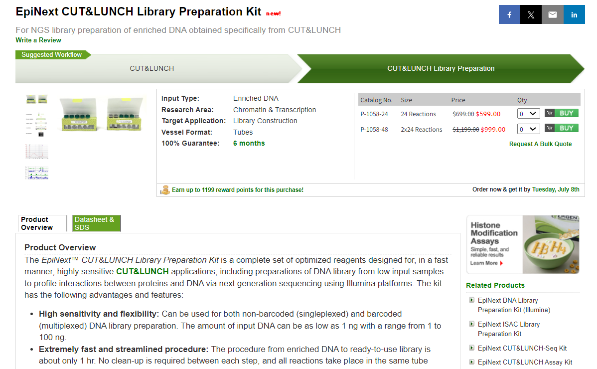 EpiNext CUT&LUNCH.png