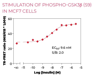 KIT-GSK3P-100-1.png