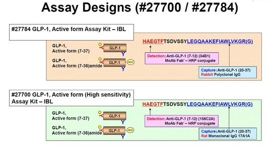 GLP-1，活性型（高靈敏度）檢測試劑盒