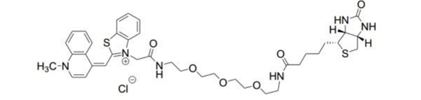 TO1-3PEG-Biotin Fluorophore.png
