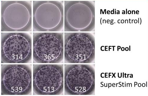 EFX Ultra SuperStim.png