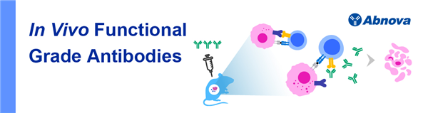 In Vivo Functional Grade Antibody.png