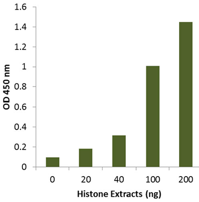    EpiQuik? 組蛋白 H3 瓜氨酸化 ELISA 試劑盒（比色法）