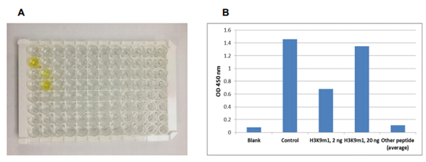 預(yù)包被組蛋白H3肽陣列ELISA試劑盒(比色法)