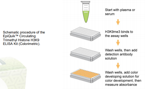 EpiQuik循環(huán)三甲基組蛋白H3K9 ELISA試劑盒（比色法）