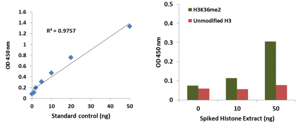 EpiQuik?循環(huán)二甲基組蛋白H3K36 ELISA試劑盒（比色法）