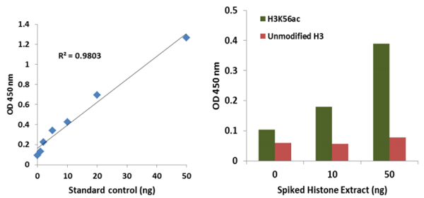 EpiQuik循環(huán)乙酰組蛋白H3K56 ELISA試劑盒（比色法）