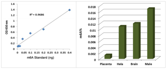MethylFlash? m6A DNA 甲基化 ELISA 試劑盒（比色法）