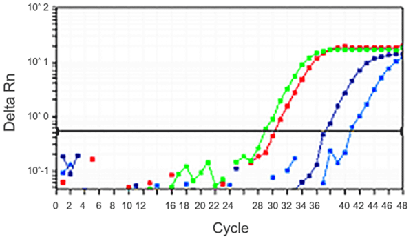 Methylamp MS qPCR快速試劑盒