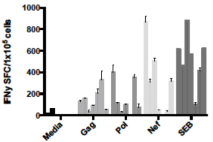 PepMix AAV2(折疊蛋白VP1)