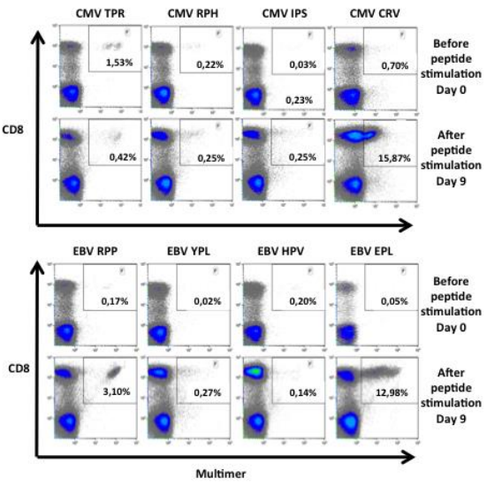 PepMix AAV5(衣殼蛋白)