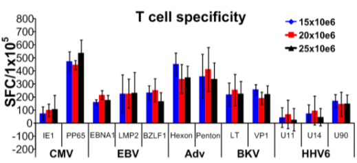 針對多種病毒的T細(xì)胞特異性。